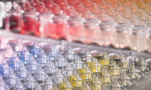 Assay Development and Drug Discovery Core thumbnail