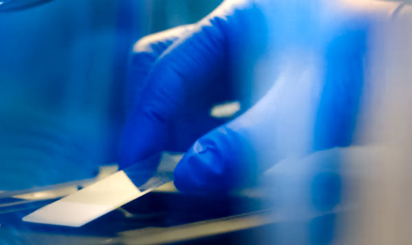 Histology Core thumbnail