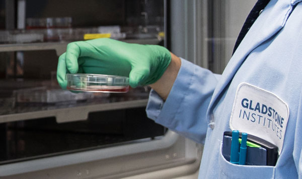 Stem Cell Core thumbnail