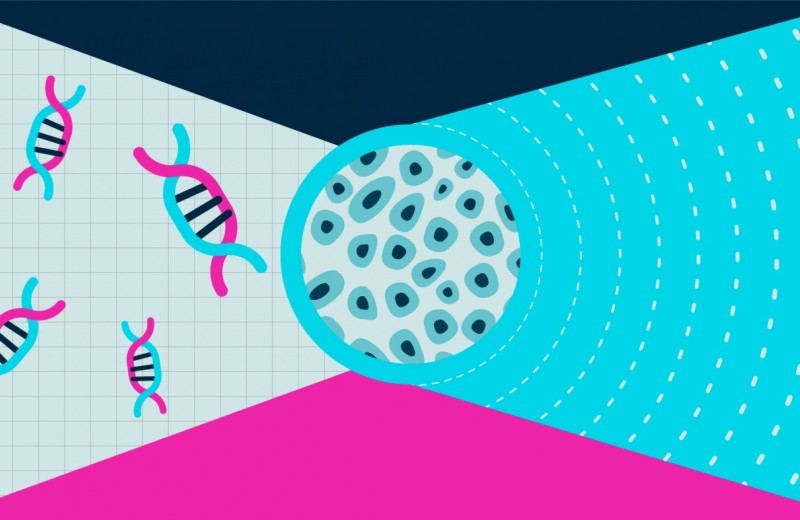 Illustration of stem cells