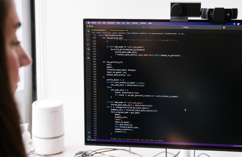 Christina Theodoris looks at a computer screen