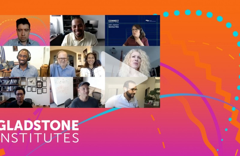 Screenshot of panel on Zoom