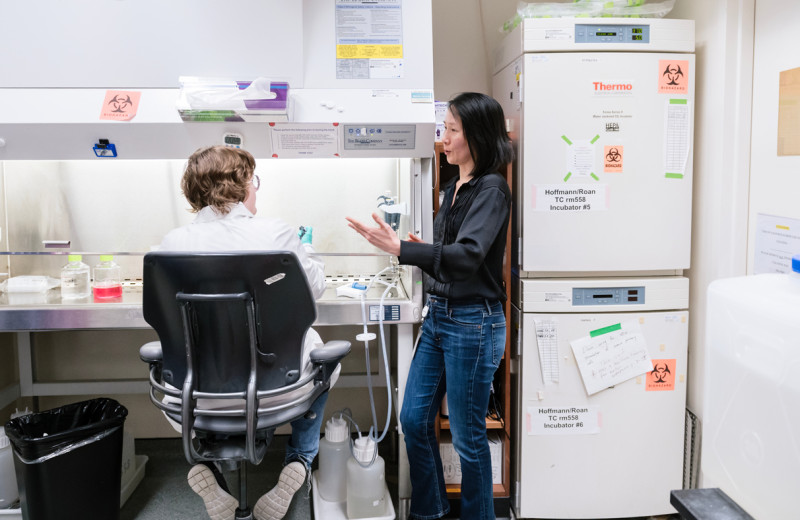 Ashley George and Nadia Roan in the lab at Gladstone Institutes