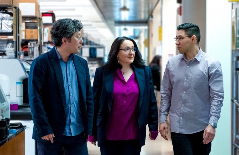 Jae Kyu Ryu, Katerina Akassoglou, and Andrew Mendiola waking down the hallway in a Gladstone lab.